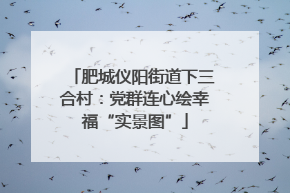 肥城仪阳街道下三合村：党群连心绘幸福“实景图”