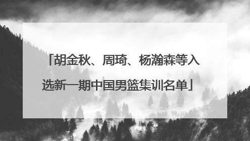 胡金秋、周琦、杨瀚森等入选新一期中国男篮集训名单