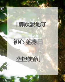 脚踩泥地守初心 躬身田垄担使命