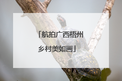 航拍广西梧州乡村美如画