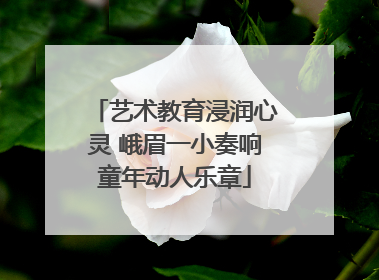 艺术教育浸润心灵 峨眉一小奏响童年动人乐章