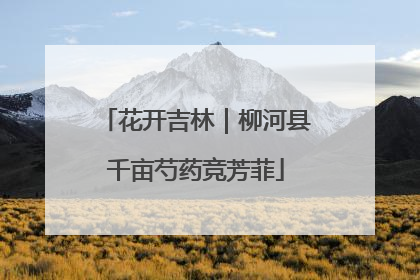 花开吉林｜柳河县千亩芍药竞芳菲