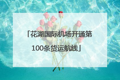 花湖国际机场开通第100条货运航线