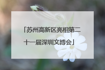 苏州高新区亮相第二十一届深圳文博会
