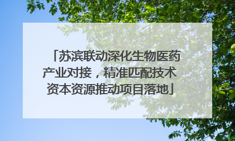 苏滨联动深化生物医药产业对接，精准匹配技术资本资源推动项目落地
