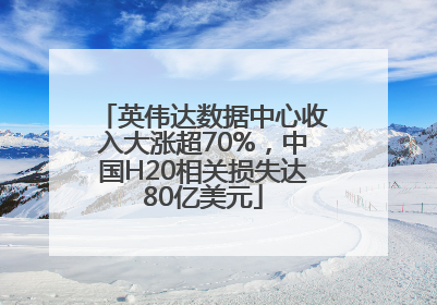 英伟达数据中心收入大涨超70%，中国H20相关损失达80亿美元