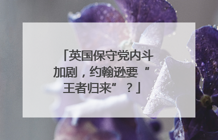 英国保守党内斗加剧，约翰逊要“王者归来”？