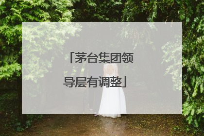 茅台集团领导层有调整