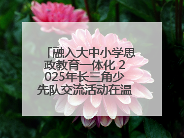 融入大中小学思政教育一体化 2025年长三角少先队交流活动在温岭举办