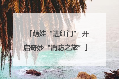 萌娃“进红门” 开启奇妙“消防之旅”