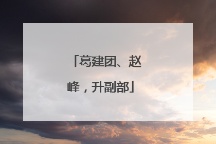 葛建团、赵峰，升副部