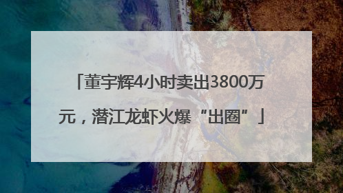 董宇辉4小时卖出3800万元，潜江龙虾火爆“出圈”