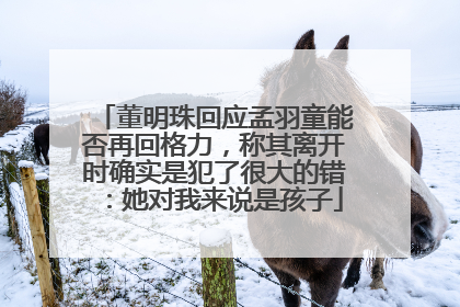 董明珠回应孟羽童能否再回格力，称其离开时确实是犯了很大的错：她对我来说是孩子