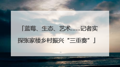 蓝莓、生态、艺术……记者实探张家楼乡村振兴“三重奏”