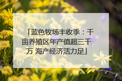 蓝色牧场丰收季：千亩养殖区年产值超三千万 海产经济活力足
