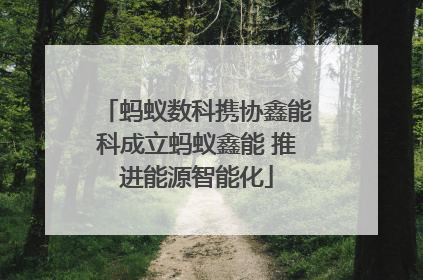 蚂蚁数科携协鑫能科成立蚂蚁鑫能 推进能源智能化