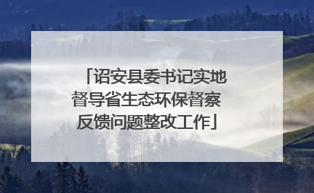 诏安县委书记实地督导省生态环保督察反馈问题整改工作