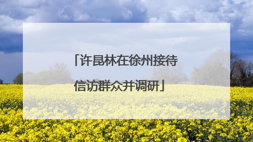 许昆林在徐州接待信访群众并调研