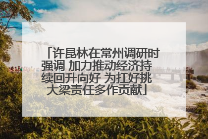 许昆林在常州调研时强调 加力推动经济持续回升向好 为扛好挑大梁责任多作贡献