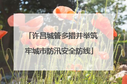 许昌城管多措并举筑牢城市防汛安全防线