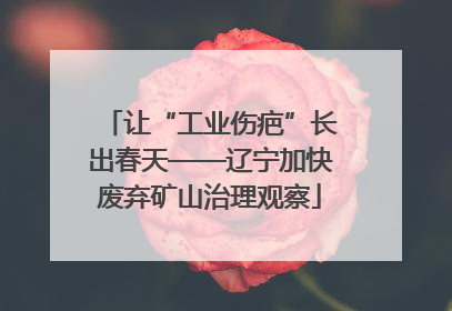 让“工业伤疤”长出春天——辽宁加快废弃矿山治理观察
