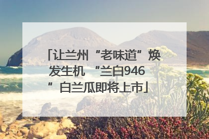 让兰州“老味道”焕发生机 “兰白946”白兰瓜即将上市