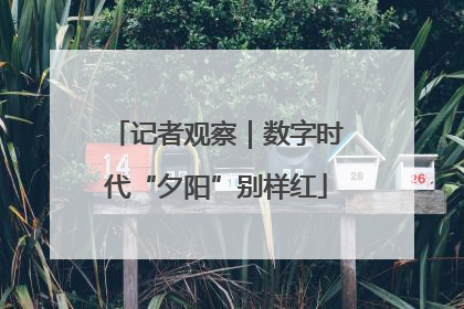 记者观察｜数字时代“夕阳”别样红