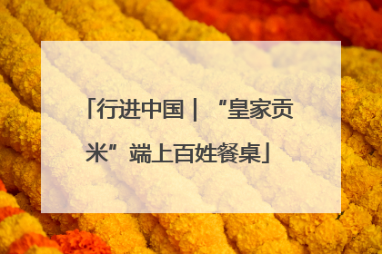 行进中国｜“皇家贡米”端上百姓餐桌