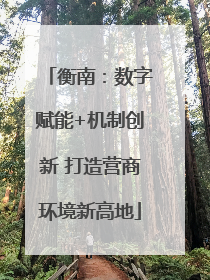 衡南：数字赋能+机制创新 打造营商环境新高地