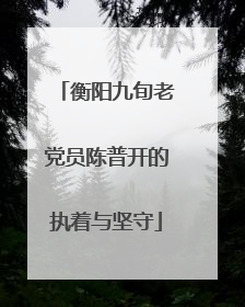 衡阳九旬老党员陈普开的执着与坚守