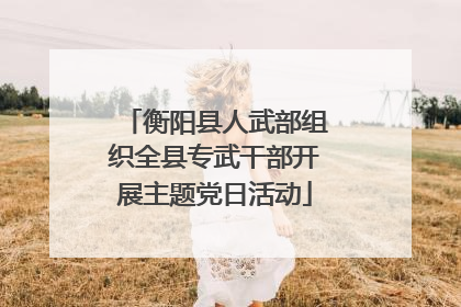 衡阳县人武部组织全县专武干部开展主题党日活动