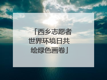 西乡志愿者世界环境日共绘绿色画卷
