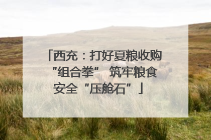 西充：打好夏粮收购“组合拳” 筑牢粮食安全“压舱石”