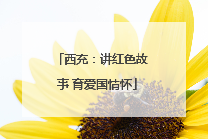 西充：讲红色故事 育爱国情怀