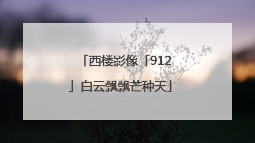 西楼影像「912」白云飘飘芒种天