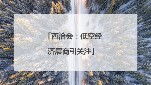 西洽会：低空经济展商引关注