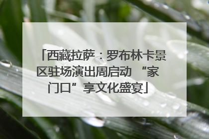 西藏拉萨：罗布林卡景区驻场演出周启动 “家门口”享文化盛宴