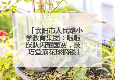 襄阳市人民路小学教育集团：啦啦操队闪耀国赛，技巧登顶花球摘银