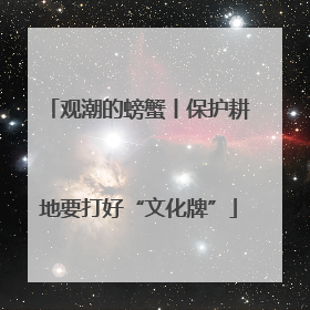 观潮的螃蟹丨保护耕地要打好“文化牌”