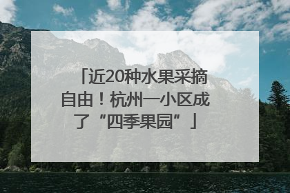 近20种水果采摘自由！杭州一小区成了“四季果园”
