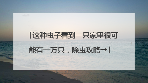 这种虫子看到一只家里很可能有一万只，除虫攻略→