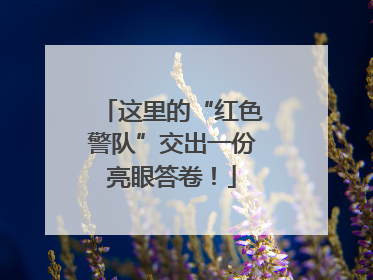 这里的“红色警队”交出一份亮眼答卷！