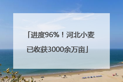 进度96%！河北小麦已收获3000余万亩