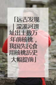 远古发现｜濛溪河遗址出土数万年前核桃，我国先民食用核桃历史大幅提前