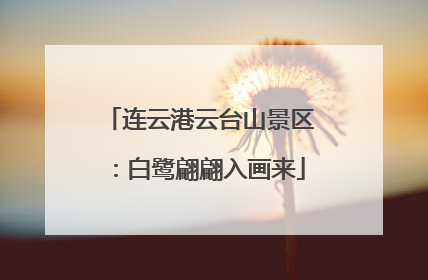 连云港云台山景区：白鹭翩翩入画来