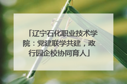 辽宁石化职业技术学院：党建联学共建，政行园企校协同育人