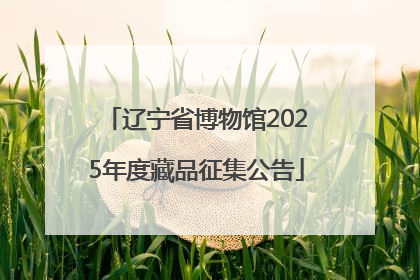 辽宁省博物馆2025年度藏品征集公告