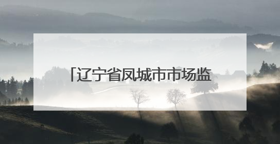 辽宁省凤城市市场监管局开展专项整治行动守护“油瓶子”安全