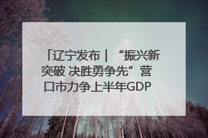 辽宁发布｜“振兴新突破 决胜勇争先”营口市力争上半年GDP增长6%左右