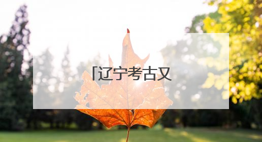 辽宁考古又有重大发现